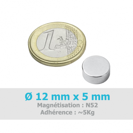 Disque magnétique rond en néodyme, aimant de bain en continu, injuste,  12x5mm, 12x5, 5 pièces, 10